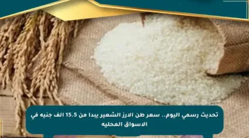 تحديث رسمي اليوم.. سعر طن الأرز الشعير يبدأ من 15.5 ألف جنيه في الأسواق المحلية